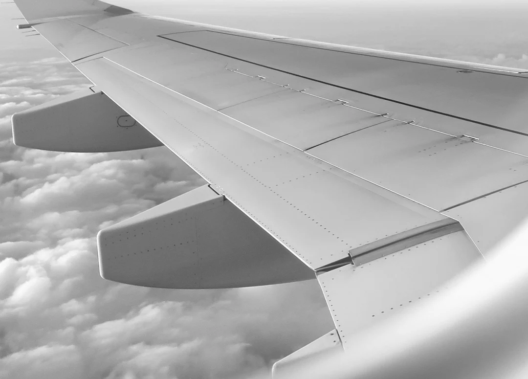 Plane's wing